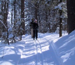 Some of the singletrack classic trails