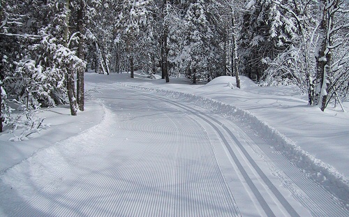 Freshly groomed trails