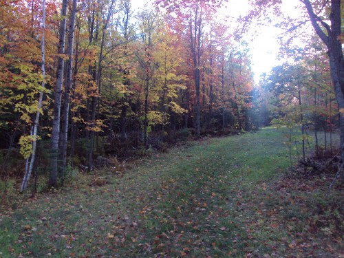 Fall colors on Pit Point Oct 09