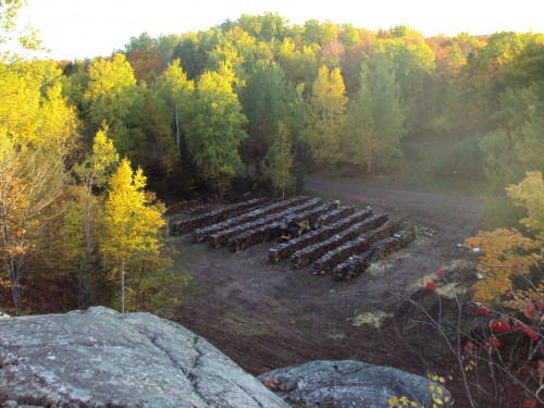 Firewood ready for the winter