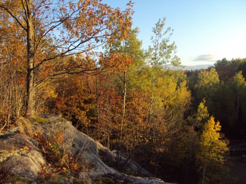 Peak Fall Colors Oct 07, 2009